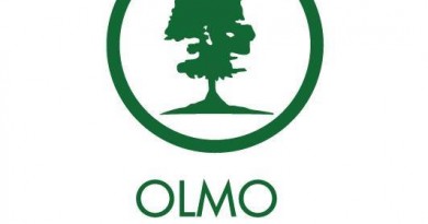 Olmo